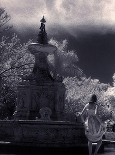 Black and White Photograph Vizcaya Renaissance Festival Fountain