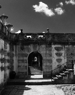 Black and White Photograph Vizcaya Secret Garden