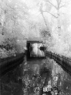 Black and White Photograph Winter Park Canal